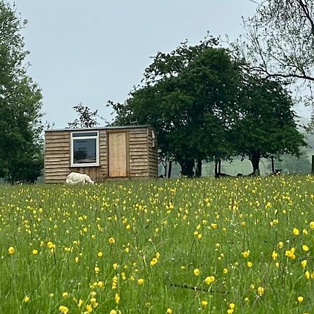 Off Grid Shepherds Hut Hotel Llansilin Kültér fotó