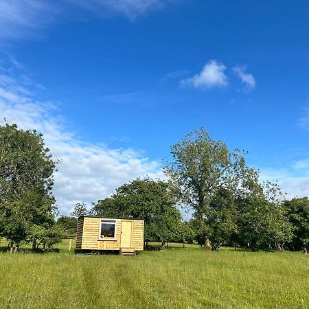 Off Grid Shepherds Hut Hotel Llansilin Kültér fotó