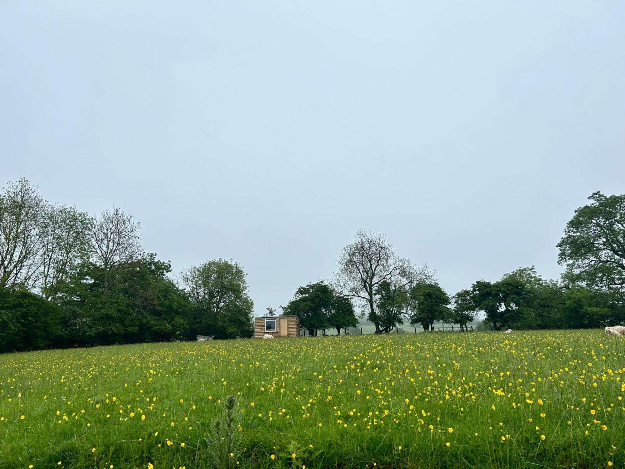 Off Grid Shepherds Hut Hotel Llansilin Kültér fotó
