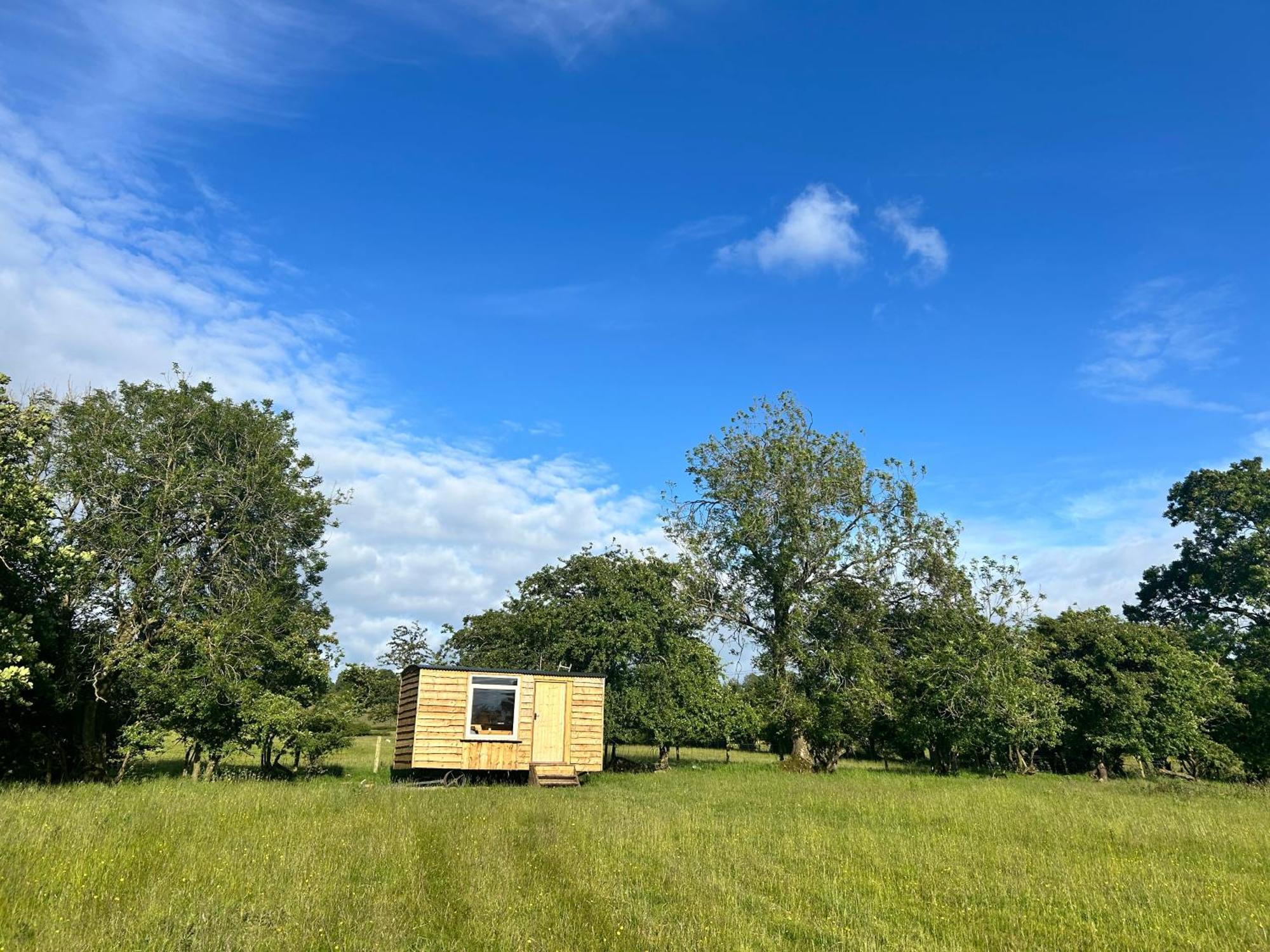 Off Grid Shepherds Hut Hotel Llansilin Kültér fotó